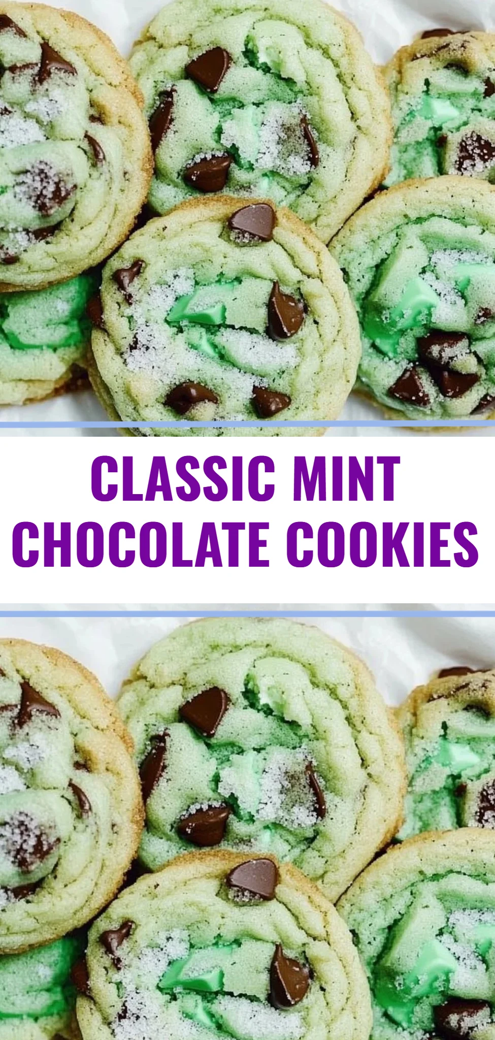 Classic Mint Chocolate Cookies