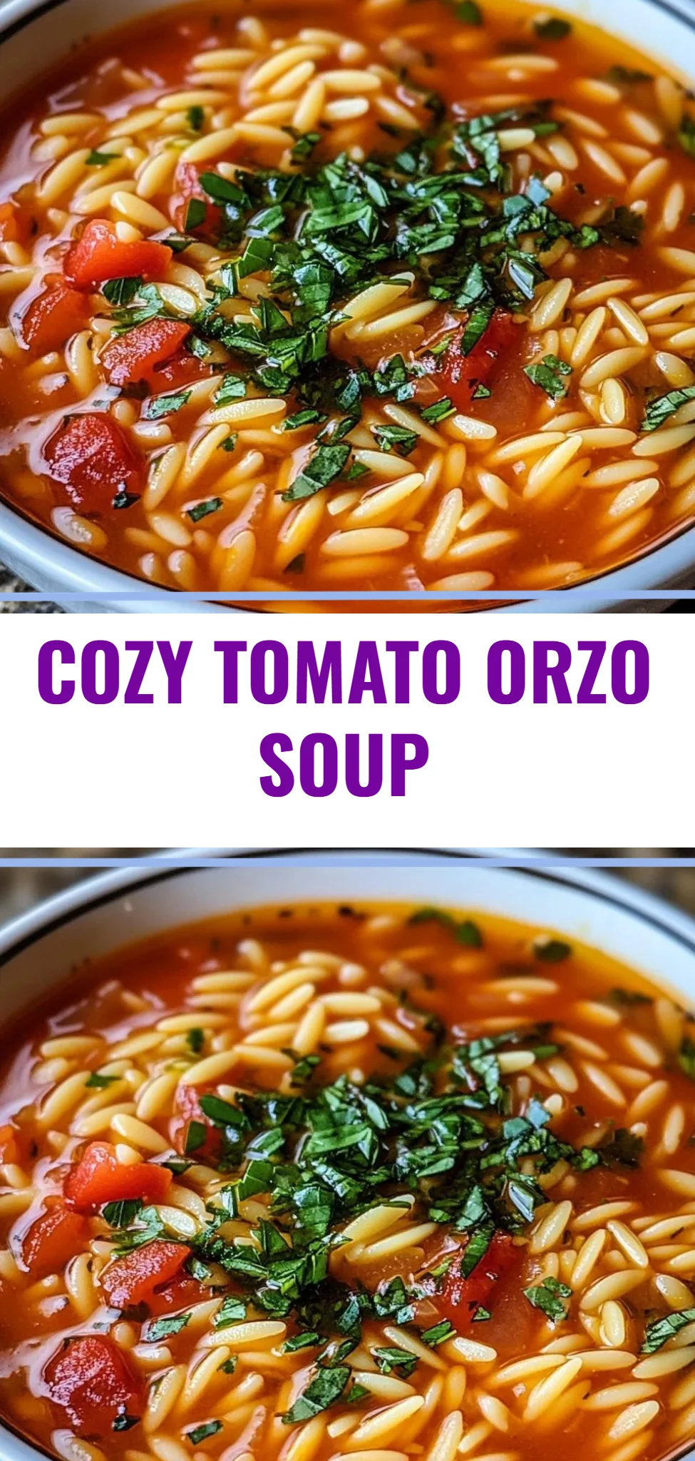 Cozy Tomato Orzo Soup