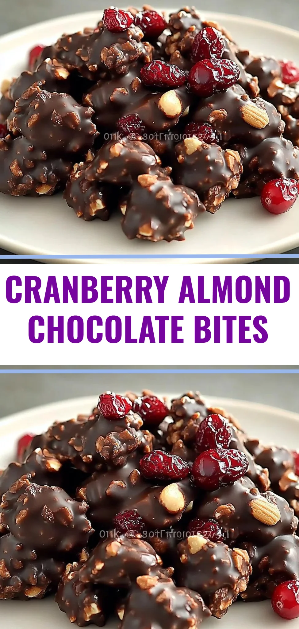 Cranberry Almond Chocolate Bites