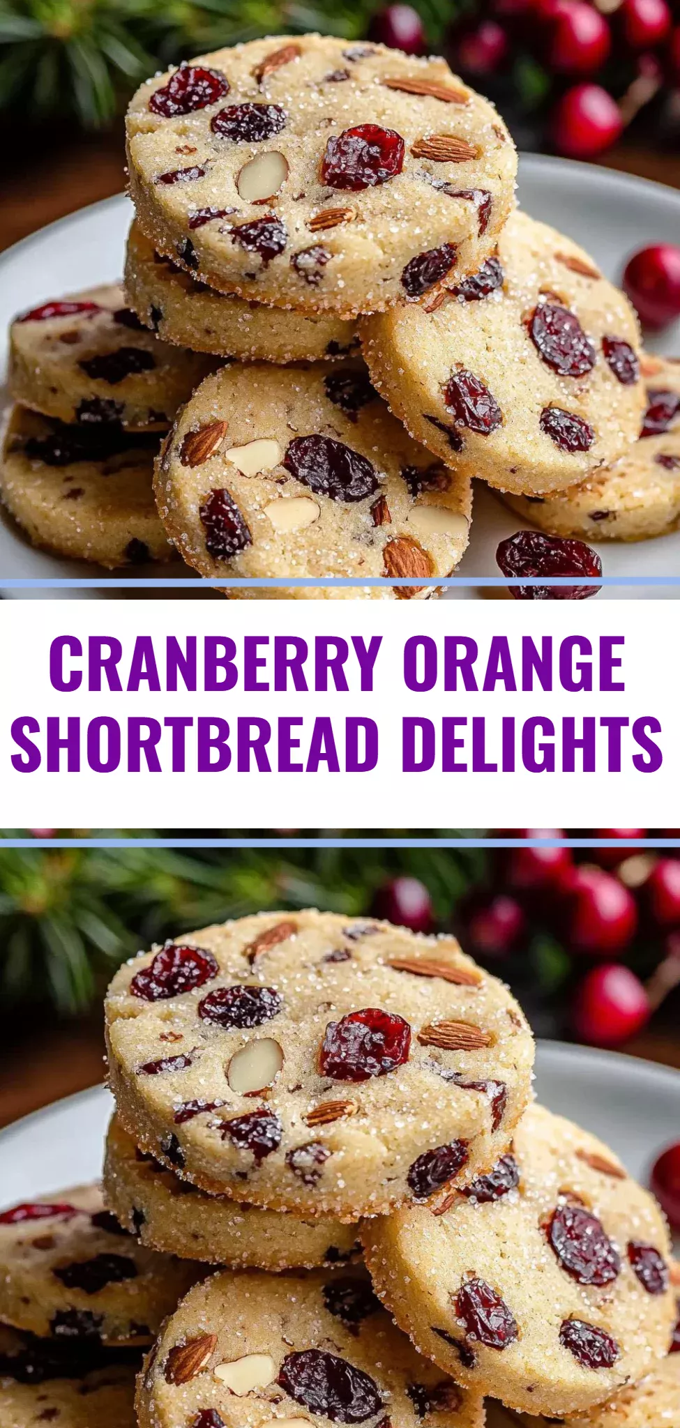 Cranberry Orange Shortbread Delights