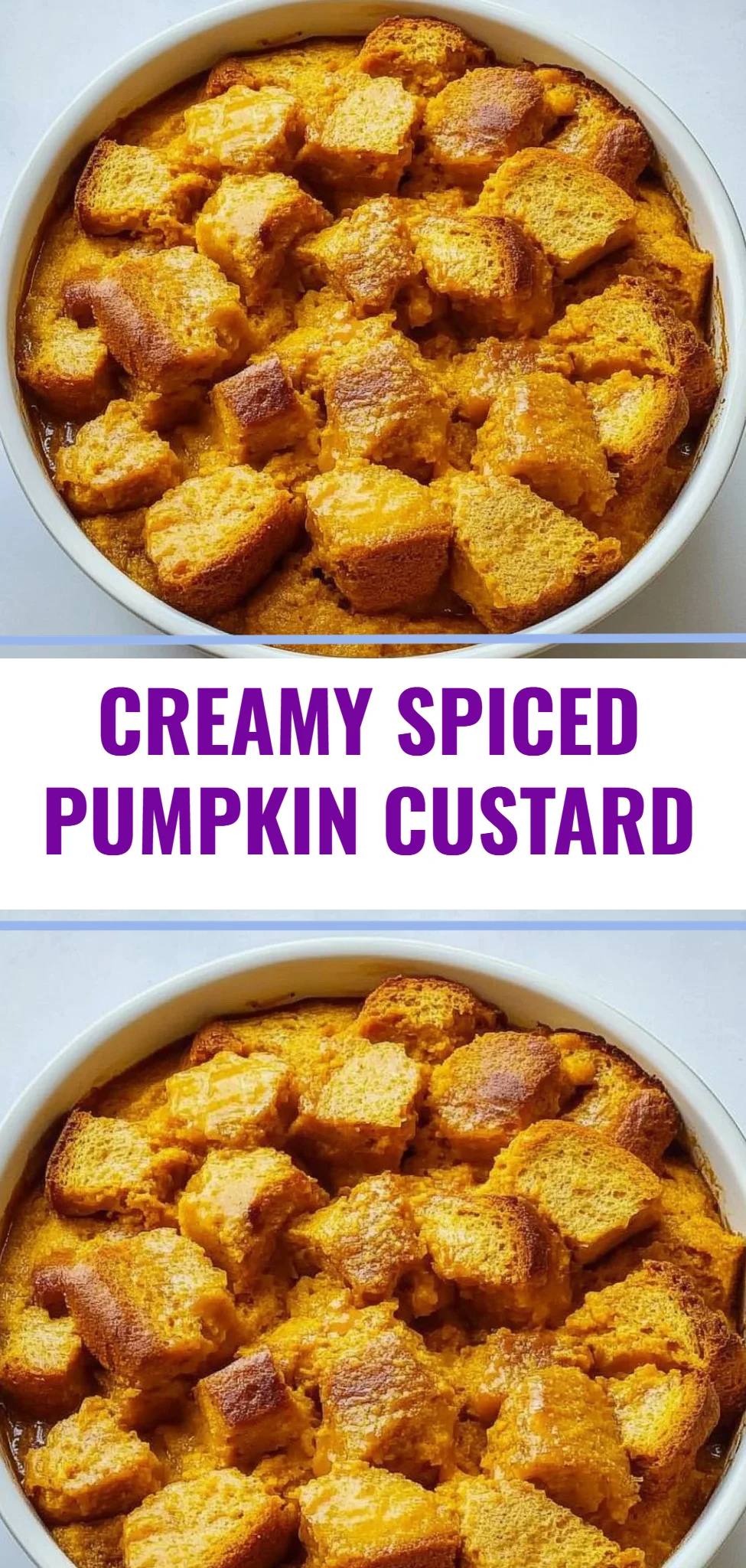 Creamy Spiced Pumpkin Custard