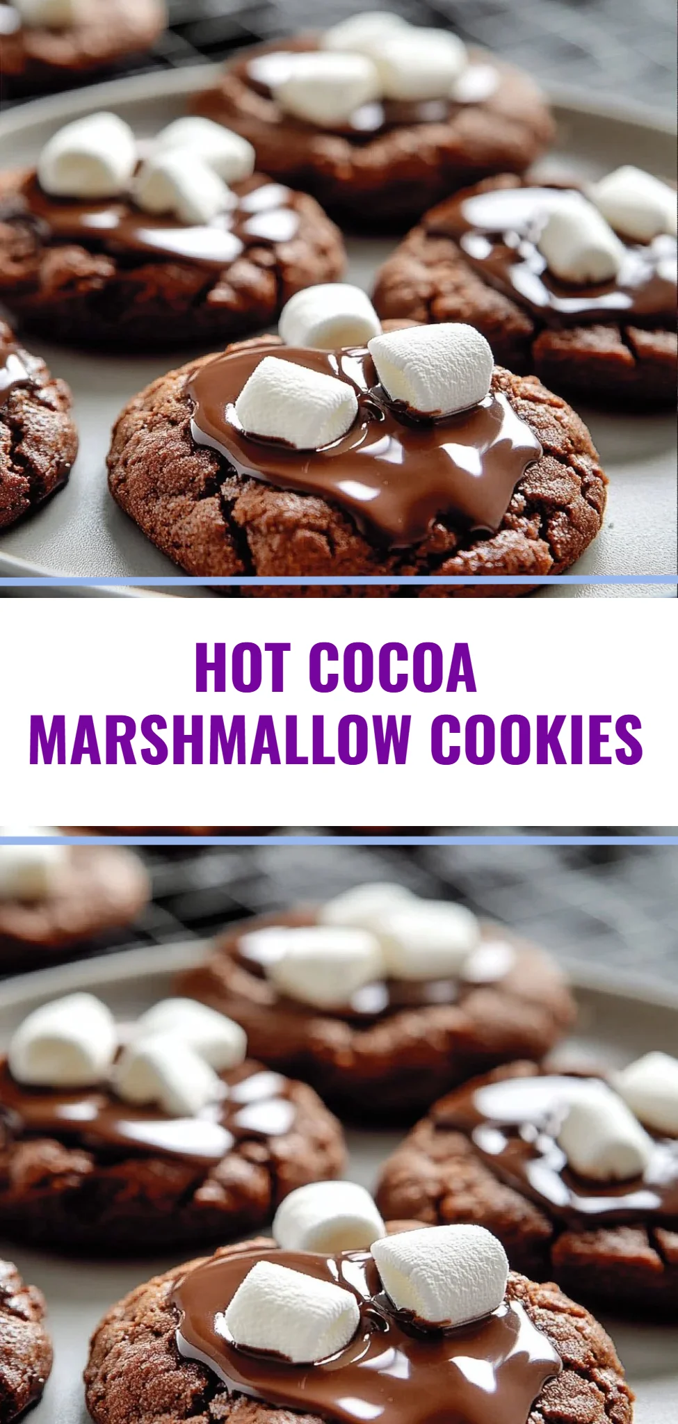 Hot Cocoa Marshmallow Cookies