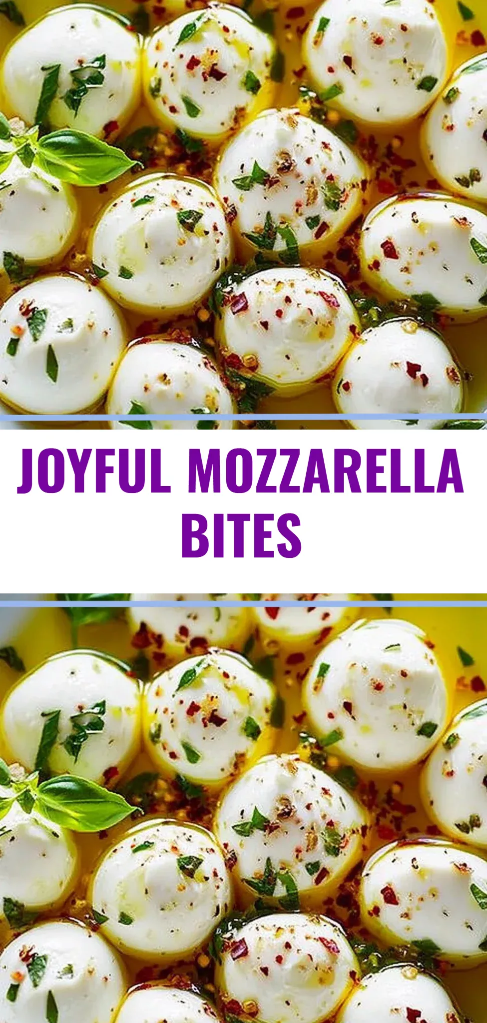 Joyful Mozzarella Bites