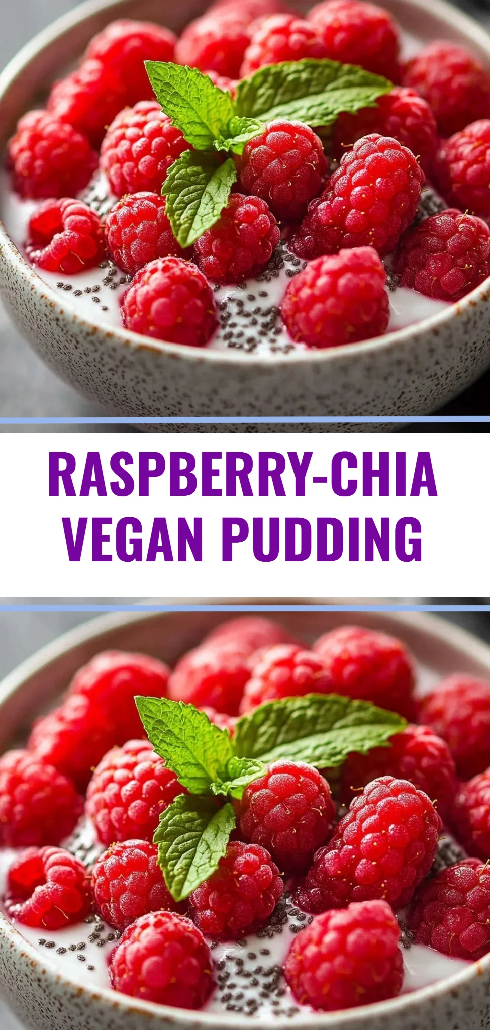 Raspberry-Chia Vegan Pudding