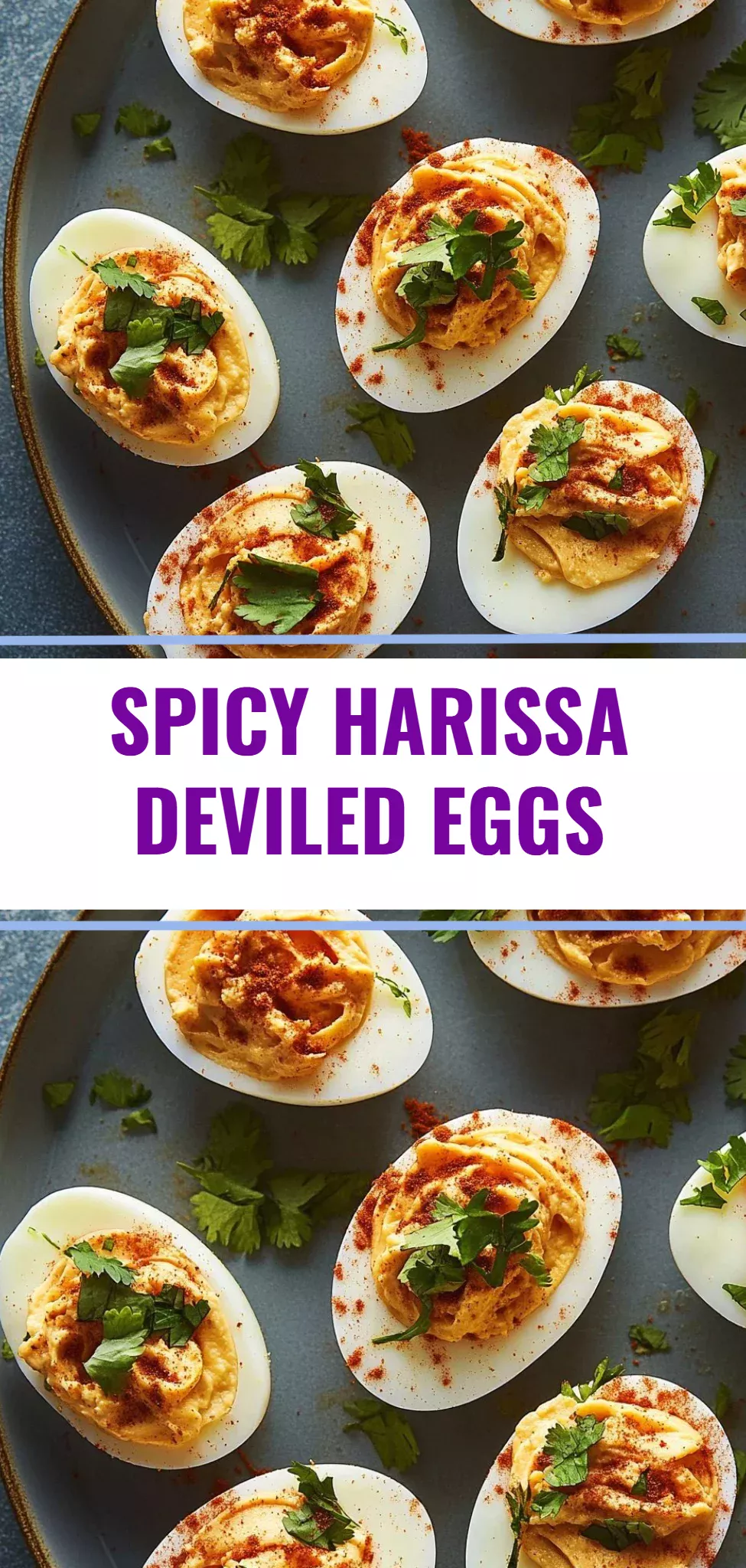 Spicy Harissa Deviled Eggs
